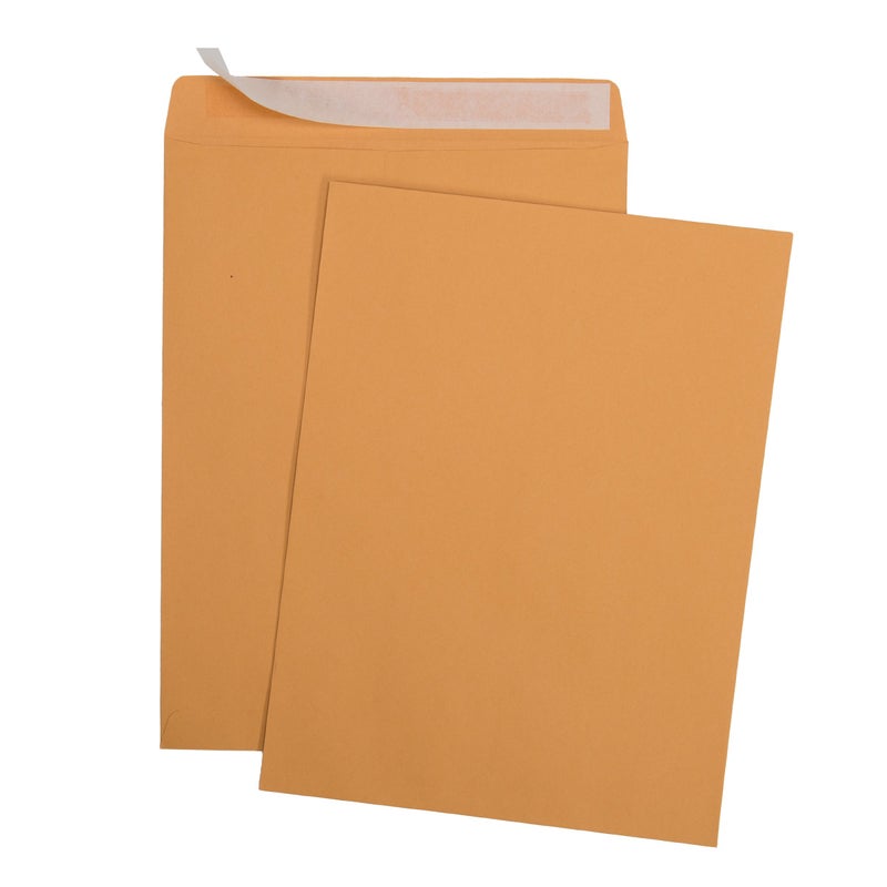 Aimoh 9 X 12 Self-Seal Brown Kraft Catalog Mailing Envelopes - 28lb - 100 Count, 9x12 Inch (38300) - Image 2